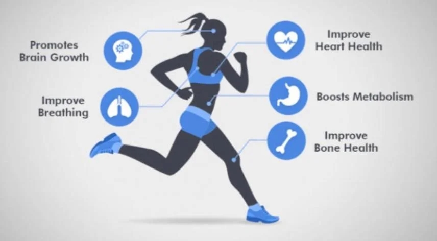 What is Cardiovascular endurance?