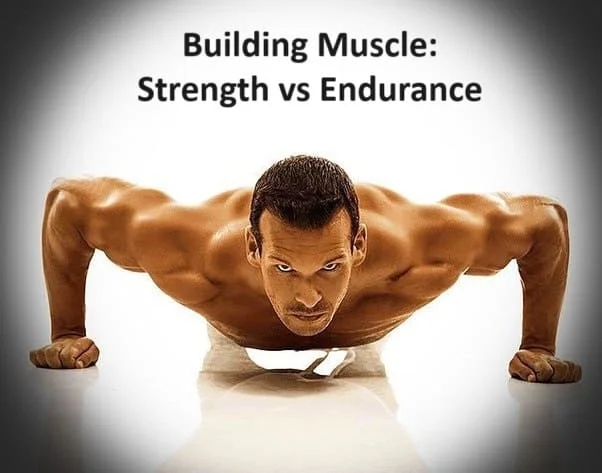 strength vs endurance muscle